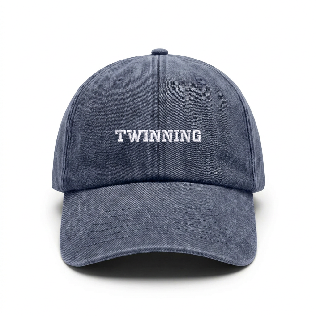 Vintage cap "TWINNING"