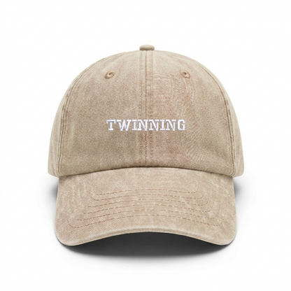 Vintage cap "TWINNING"